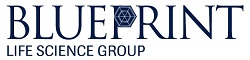 BP Logo